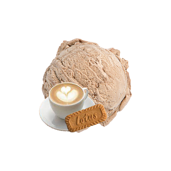 250606 Cafe Noir Roomijs doos 4,7ltr